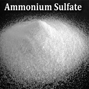 Phan SA - Ammonium Sulphate